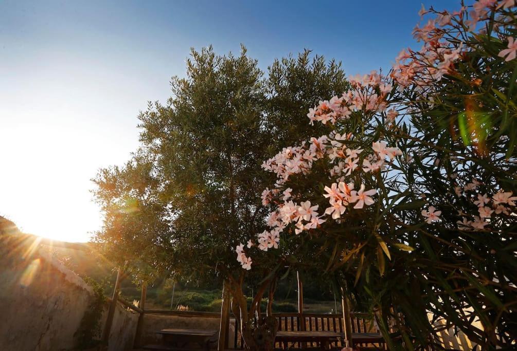 Casa Amado, Aldeia Da Pedralva Villa วีลา ดู บิสโป ภายนอก รูปภาพ