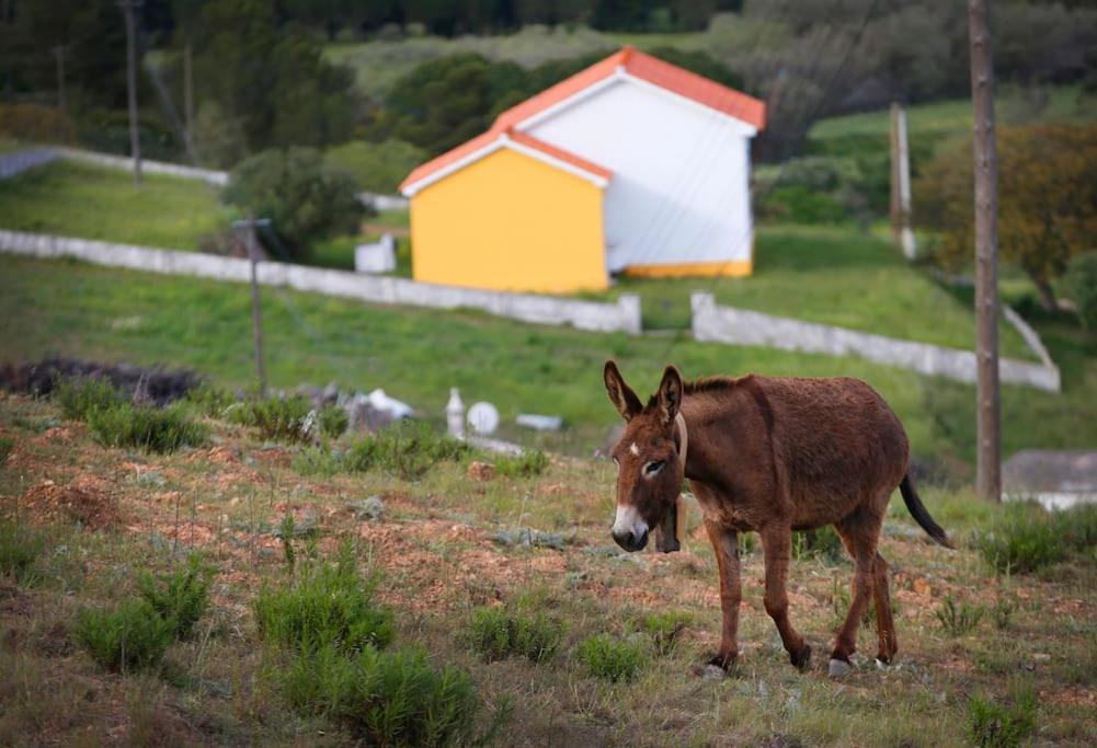 Casa Amado, Aldeia Da Pedralva Villa วีลา ดู บิสโป ภายนอก รูปภาพ