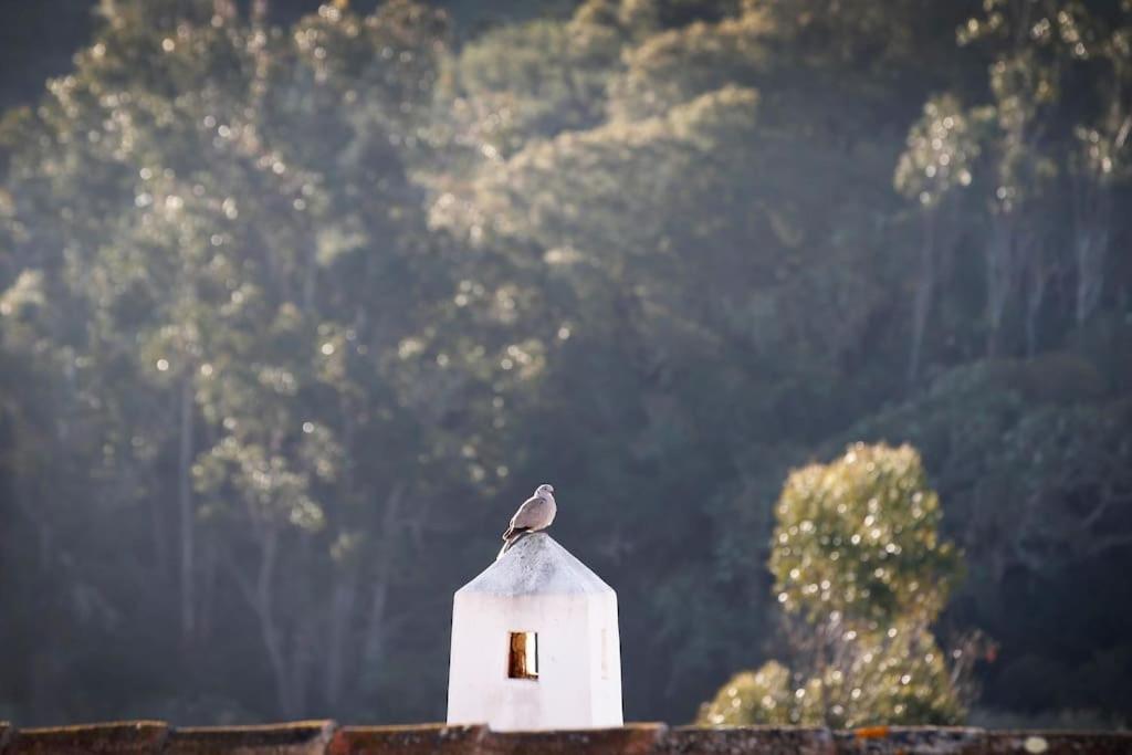 Casa Amado, Aldeia Da Pedralva Villa วีลา ดู บิสโป ภายนอก รูปภาพ